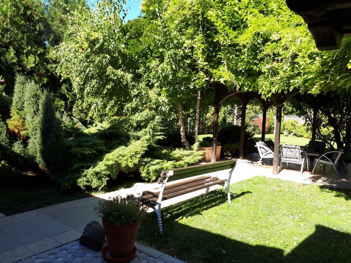 Bed and Breakfast Business Club Selenča Bac Exterior foto